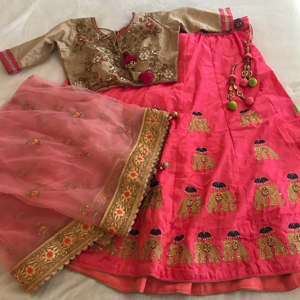 Elegant Pink and Gold Embroidered Wedding Dress, Lehenga set, Adjustable 3 pc